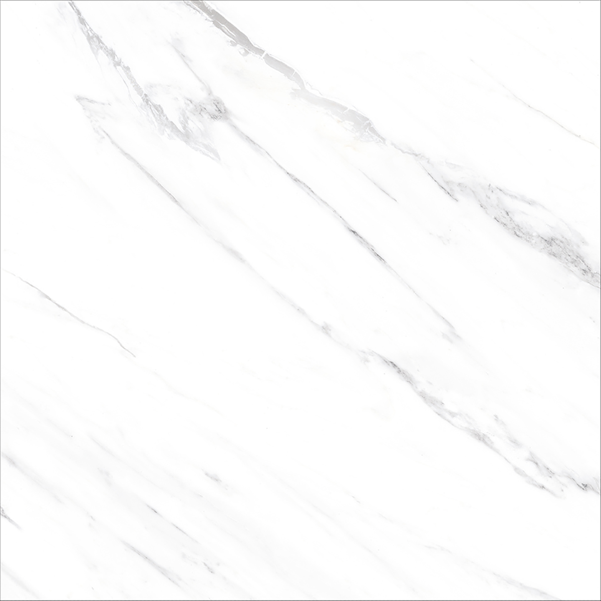 OPUS WHITE(