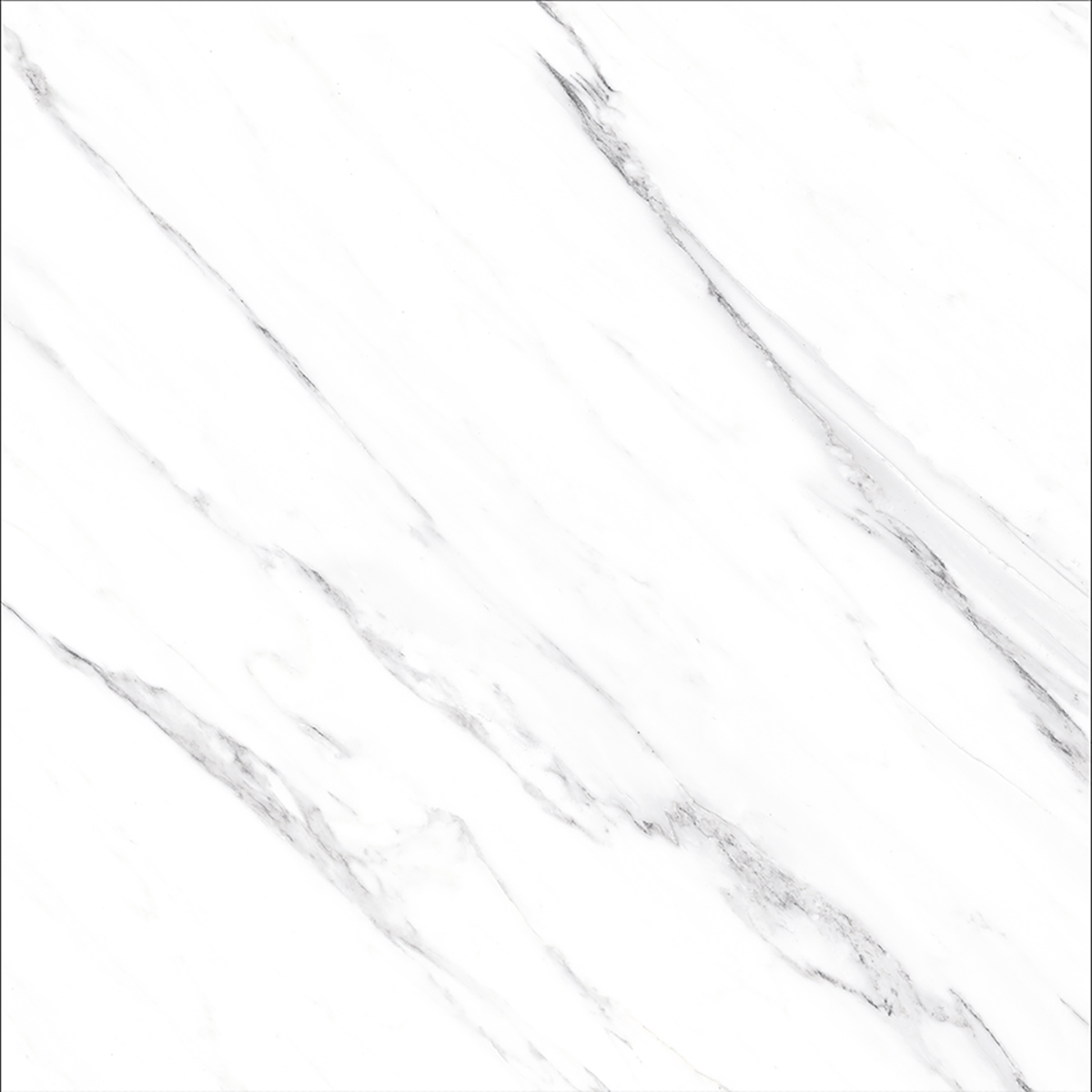 OPUS WHITE(