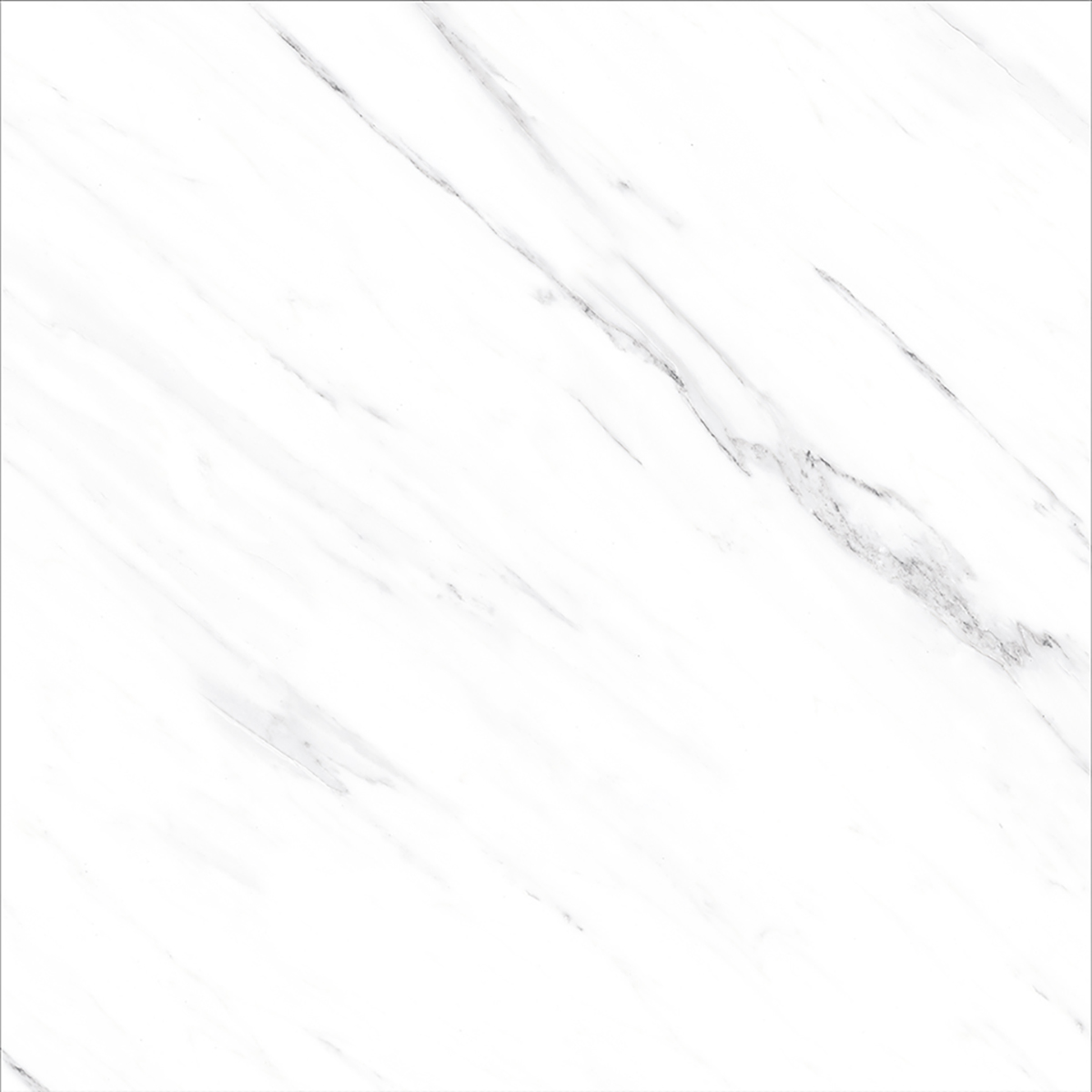 OPUS WHITE(