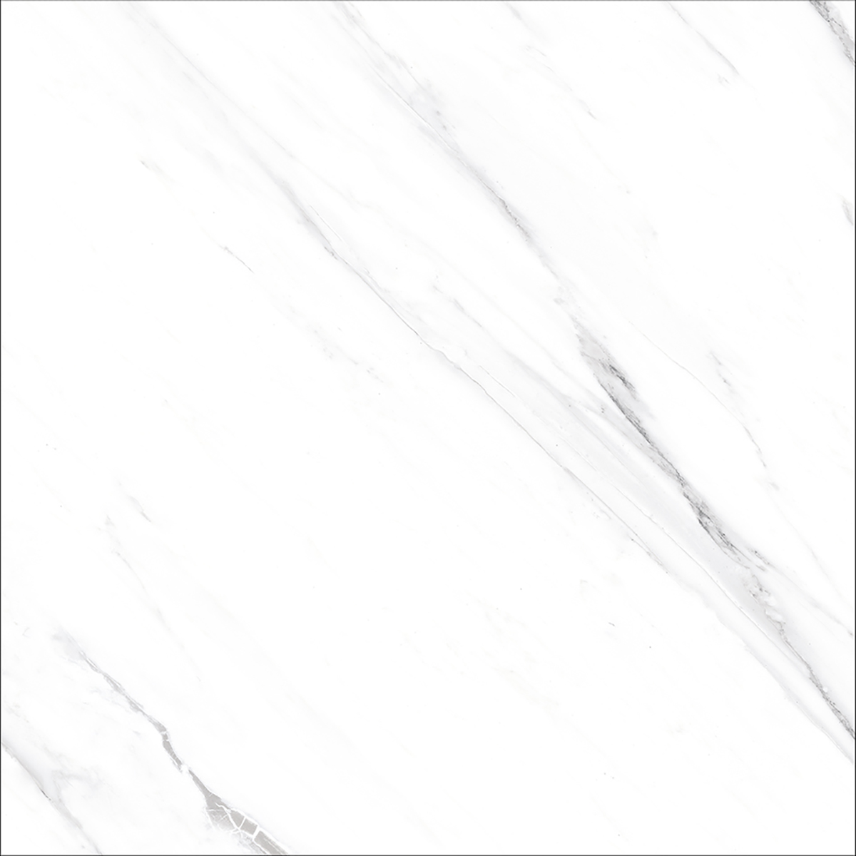 OPUS WHITE(
