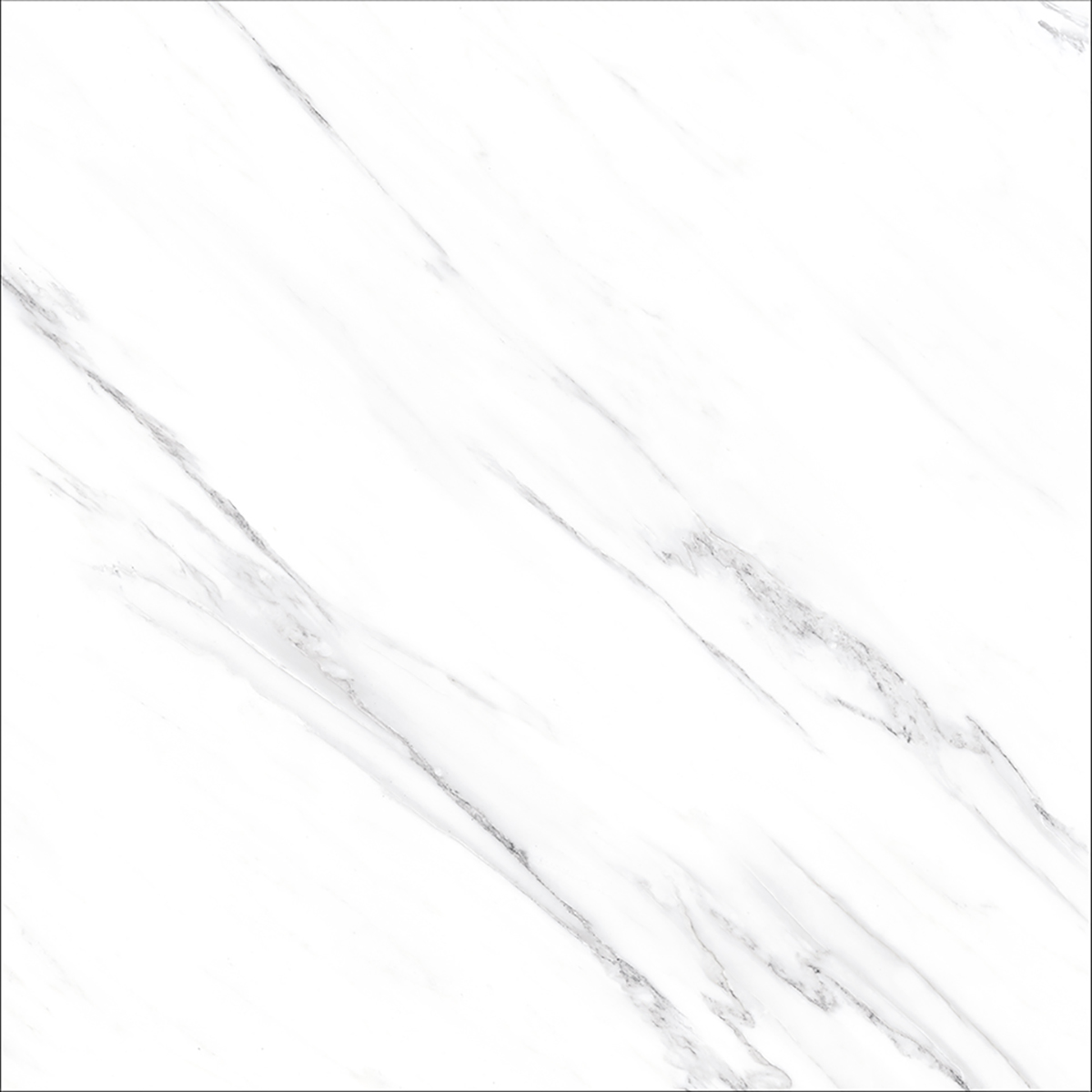 OPUS WHITE(