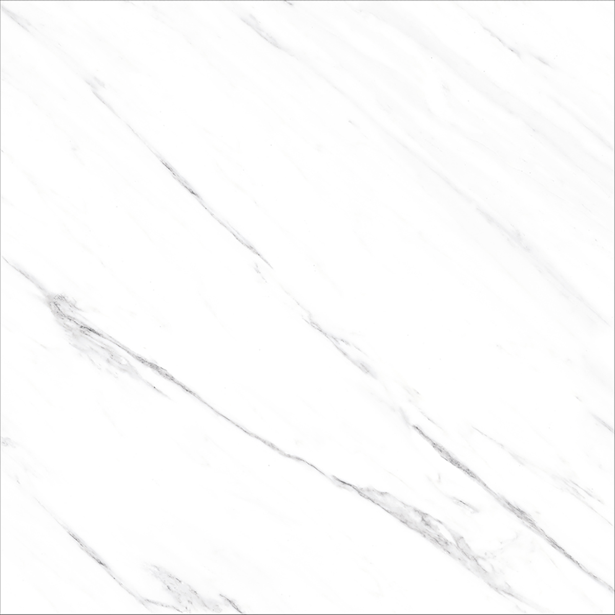 OPUS WHITE(