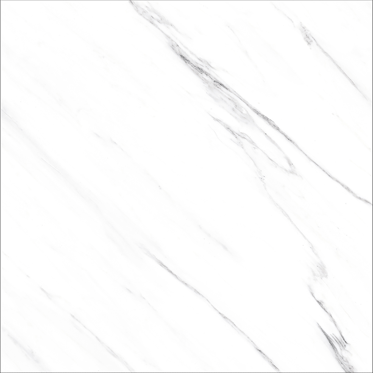 OPUS WHITE(