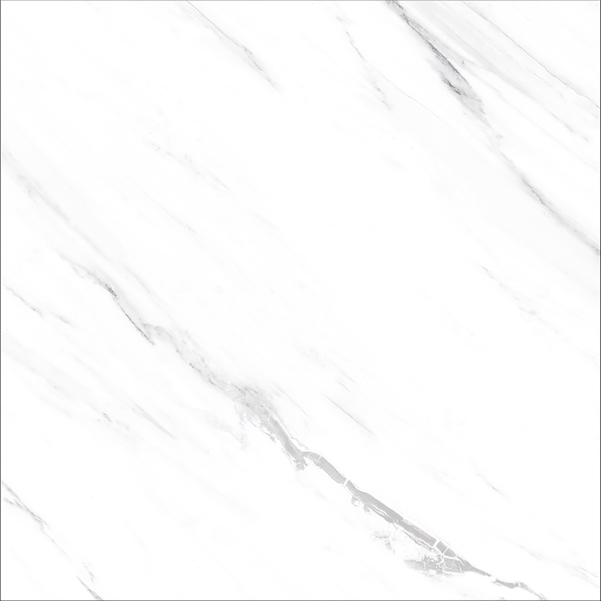 OPUS WHITE(