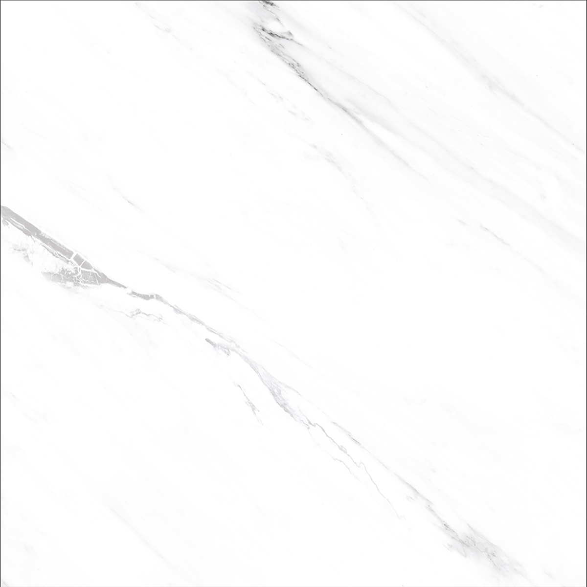 OPUS WHITE(