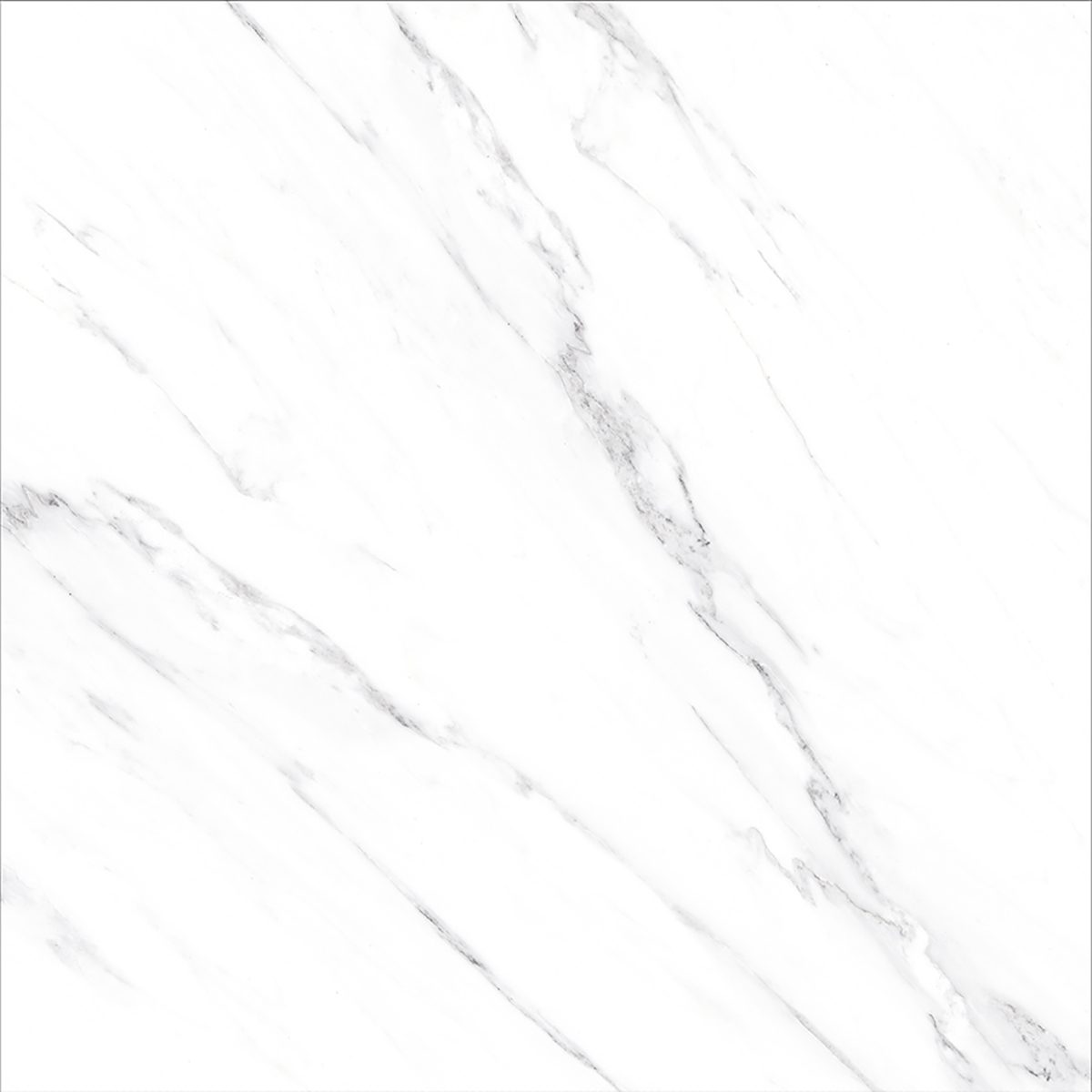OPUS WHITE(