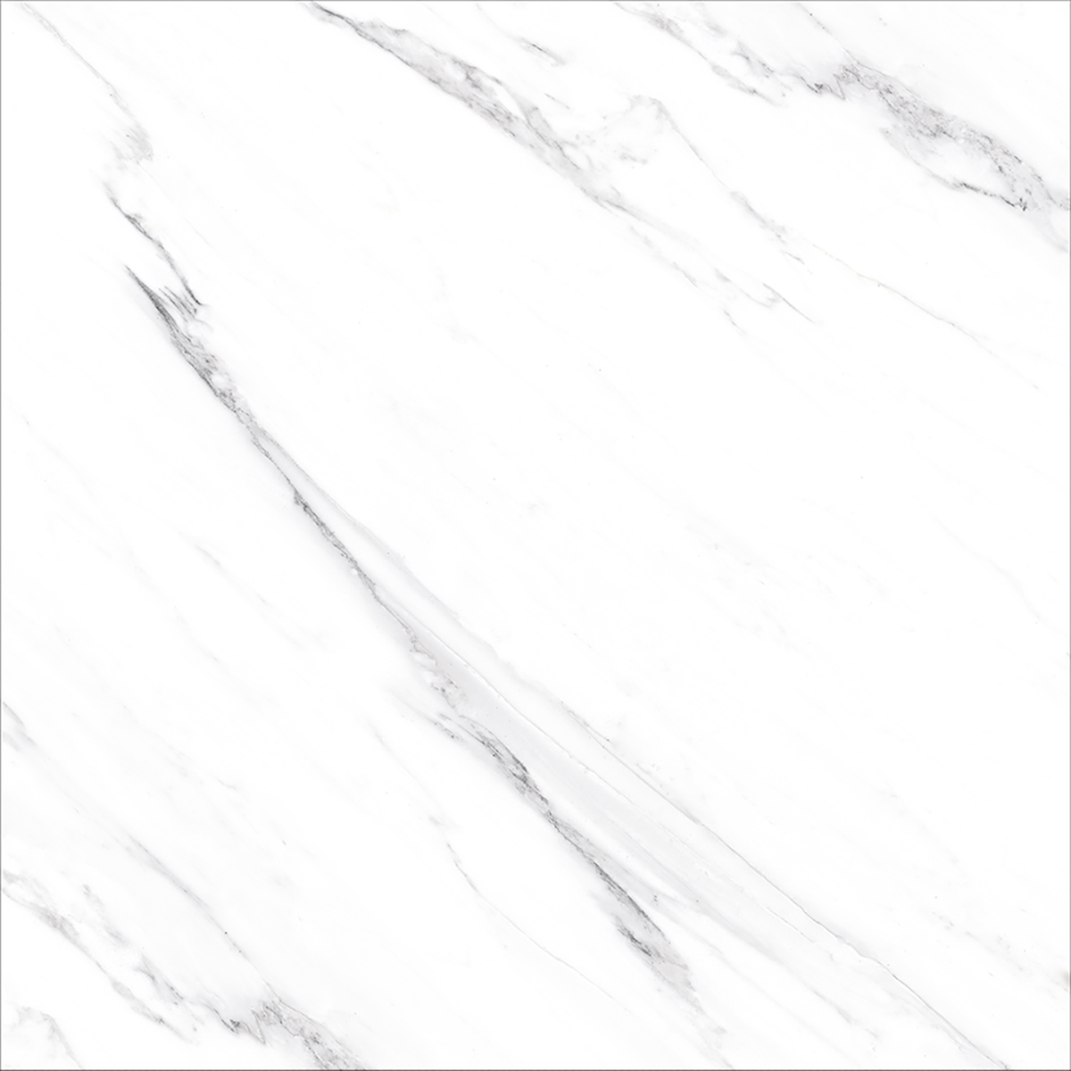 OPUS WHITE(