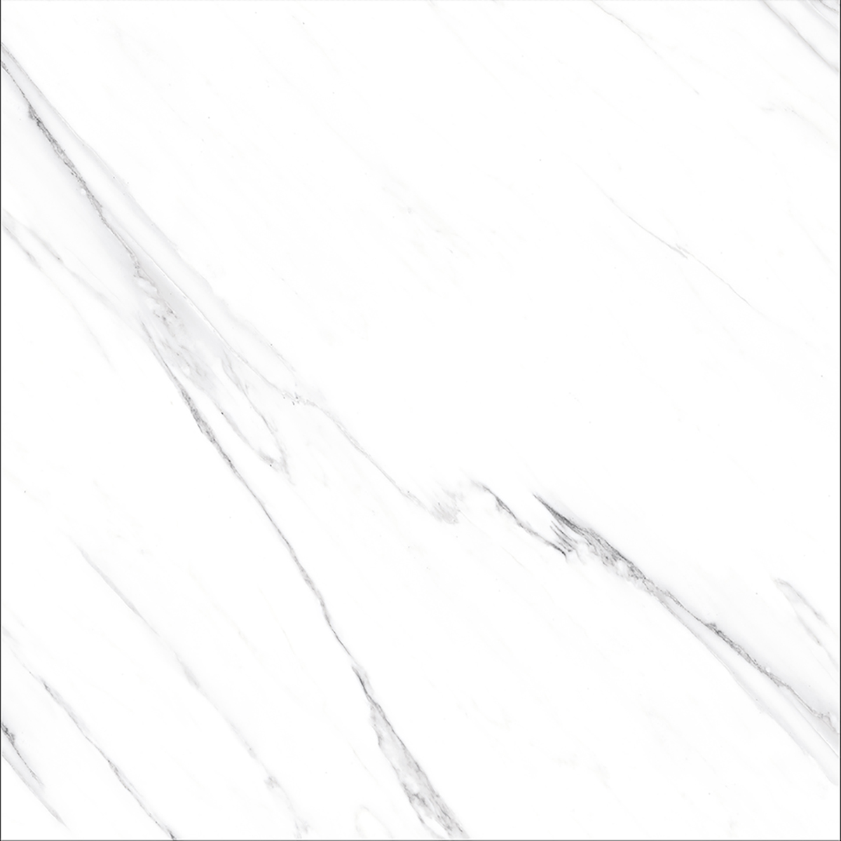 OPUS WHITE(