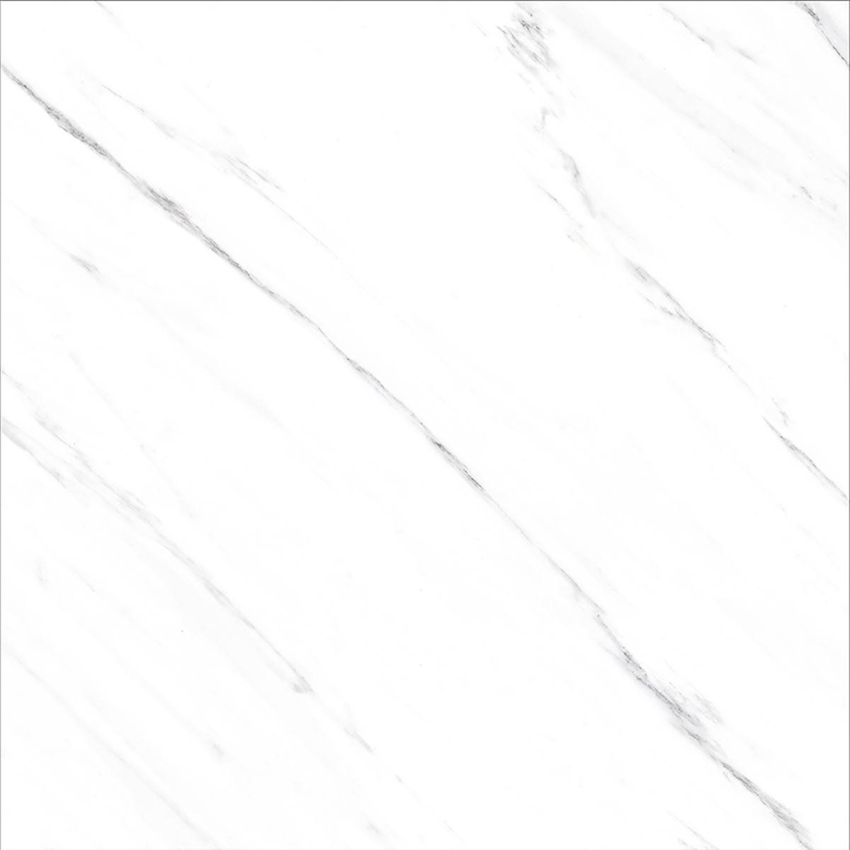 OPUS WHITE(