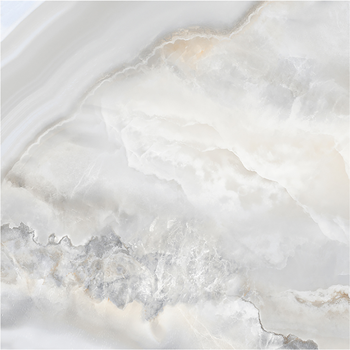 ORACLE SILVER ONYX