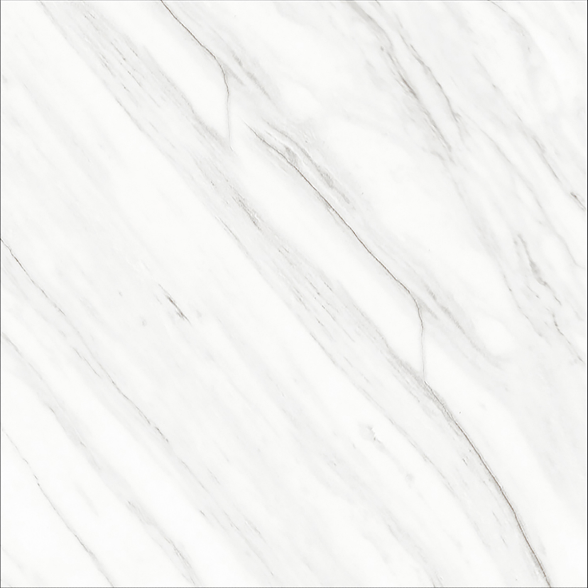 ROUGE BLANCO