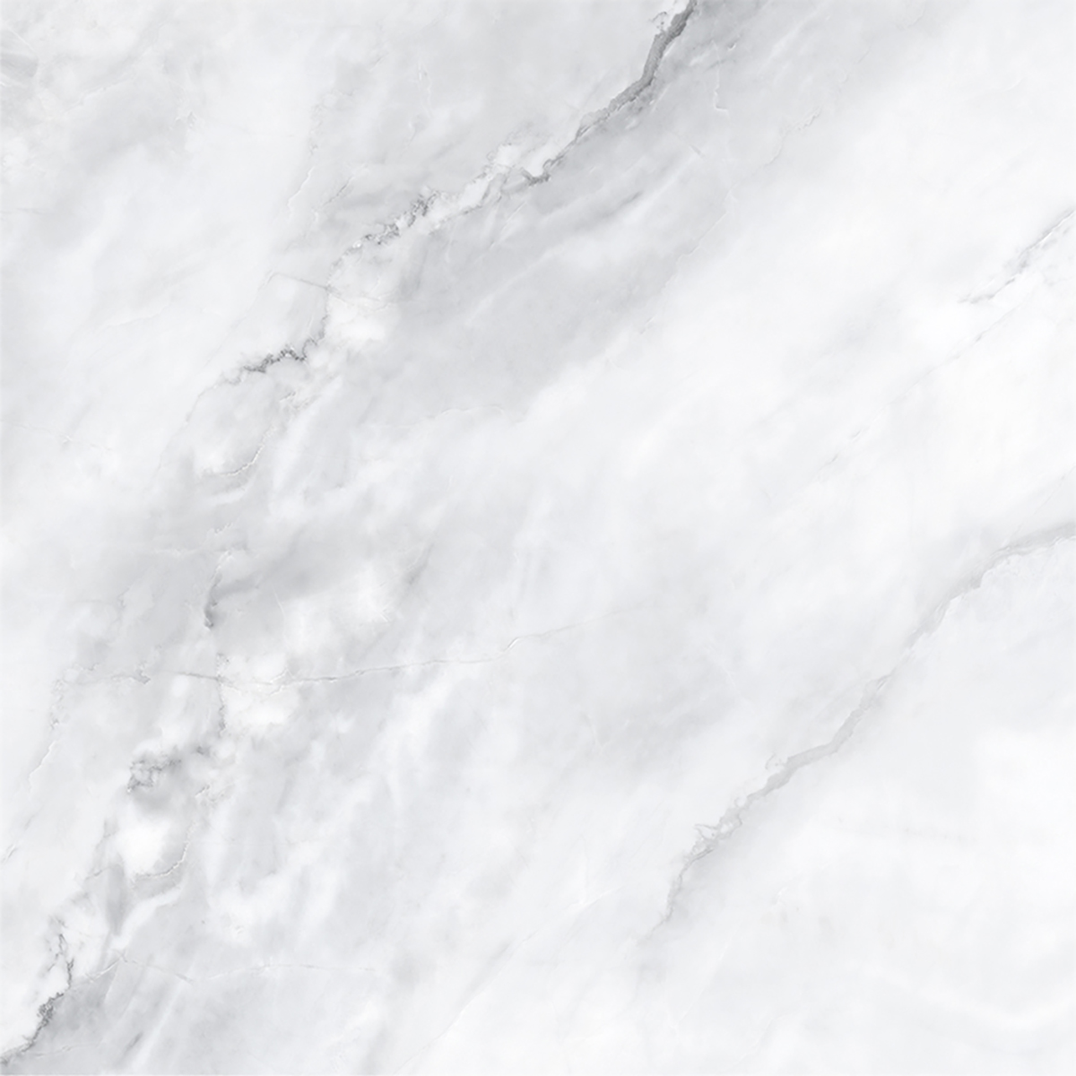 SCARLET BIANCO