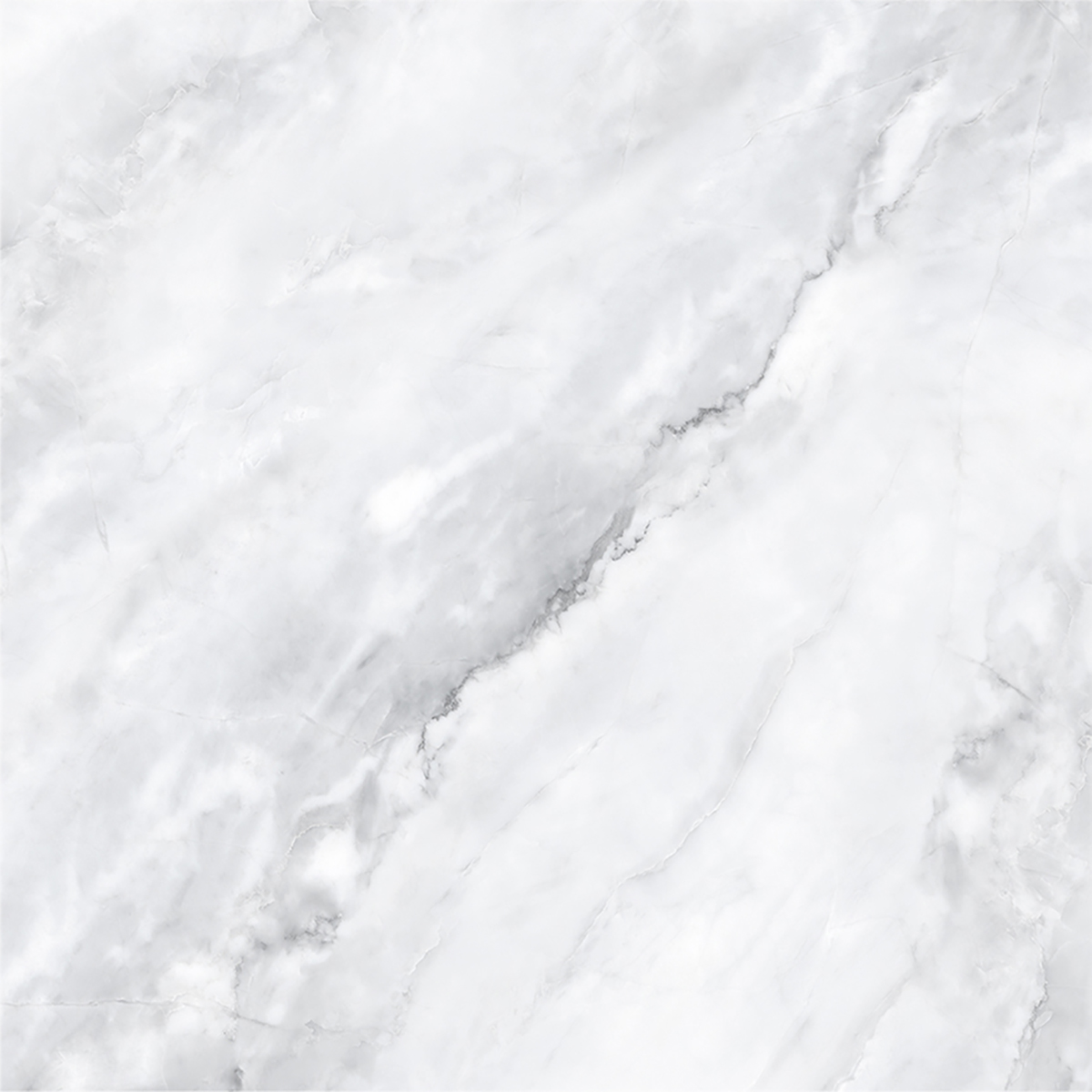 SCARLET BIANCO