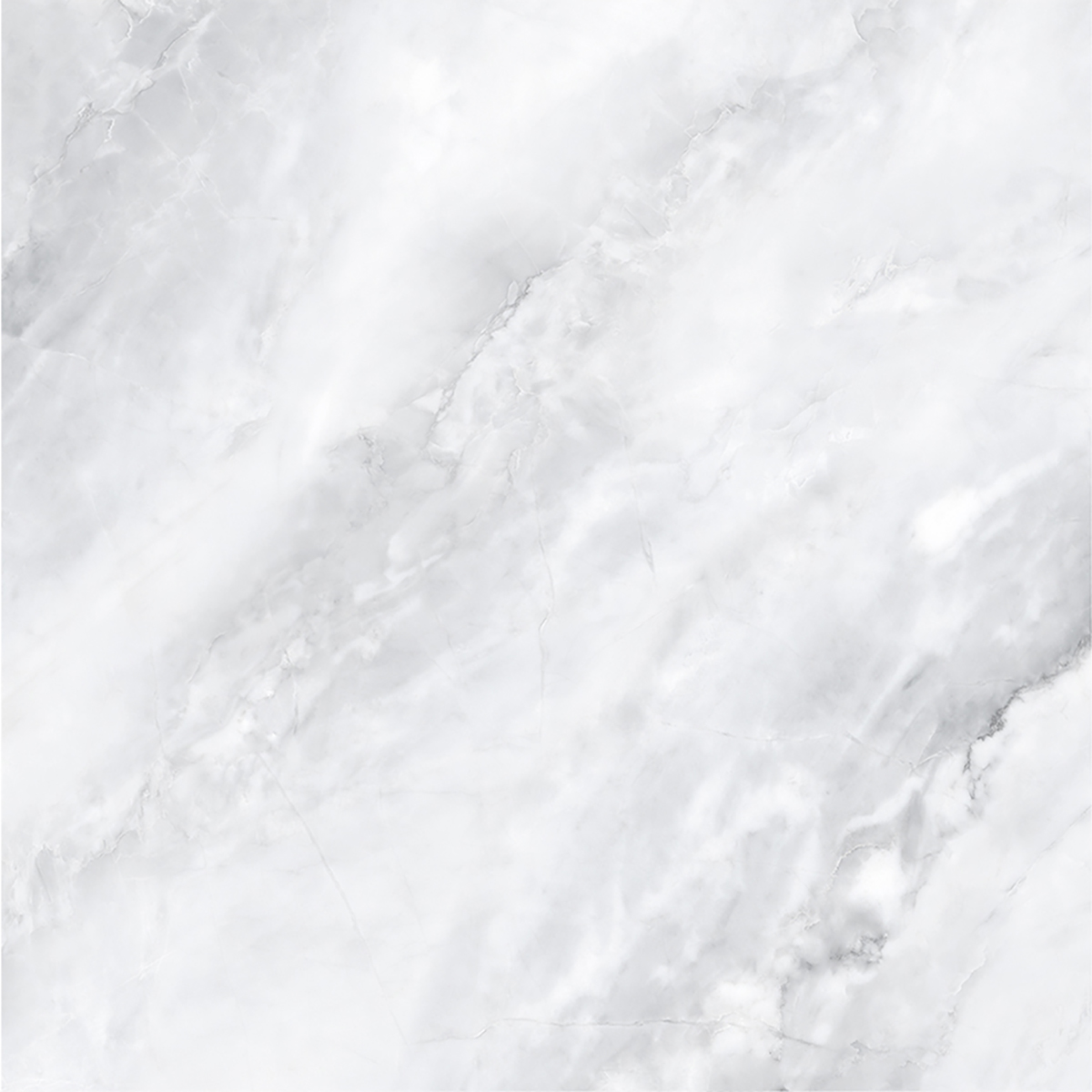 SCARLET BIANCO