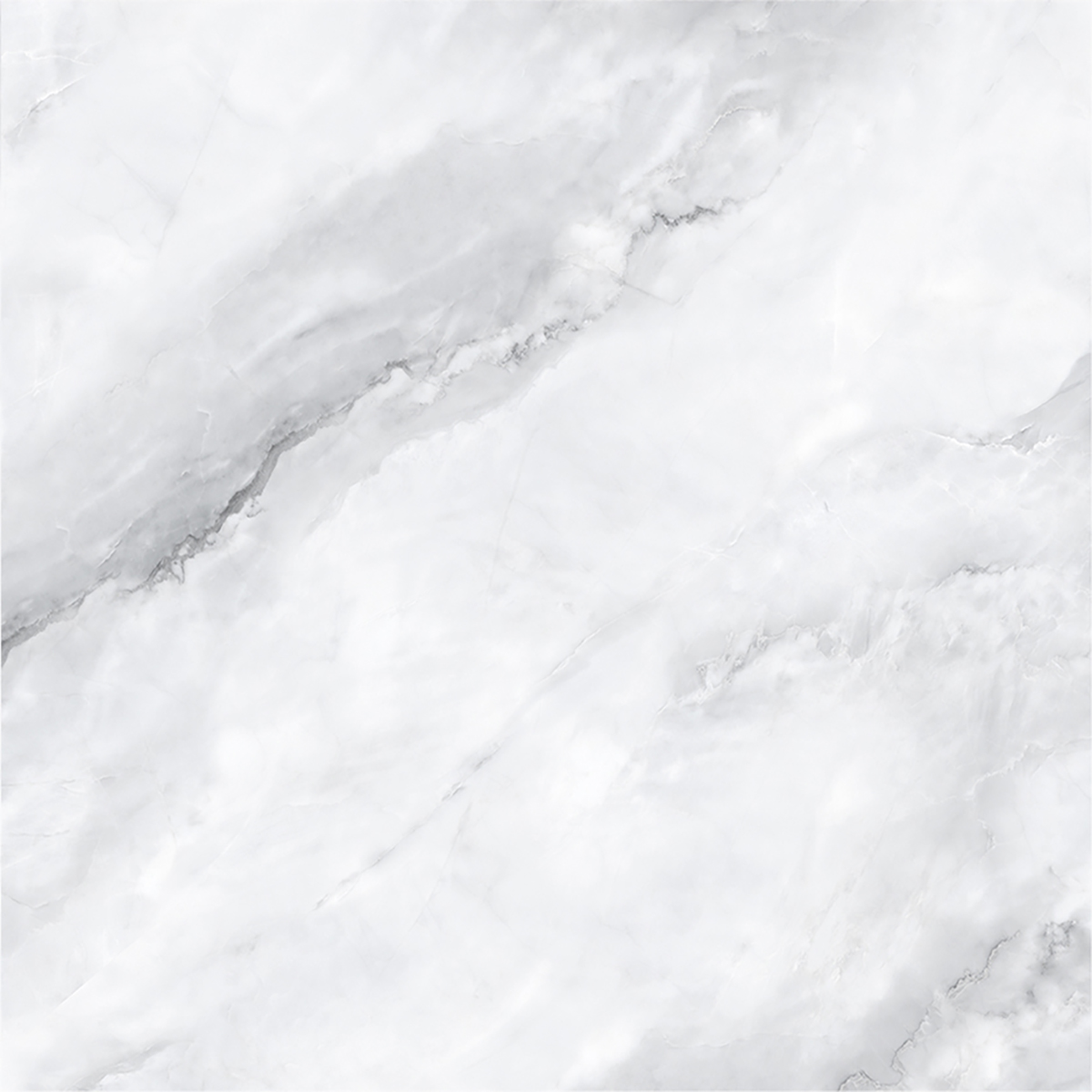 SCARLET BIANCO