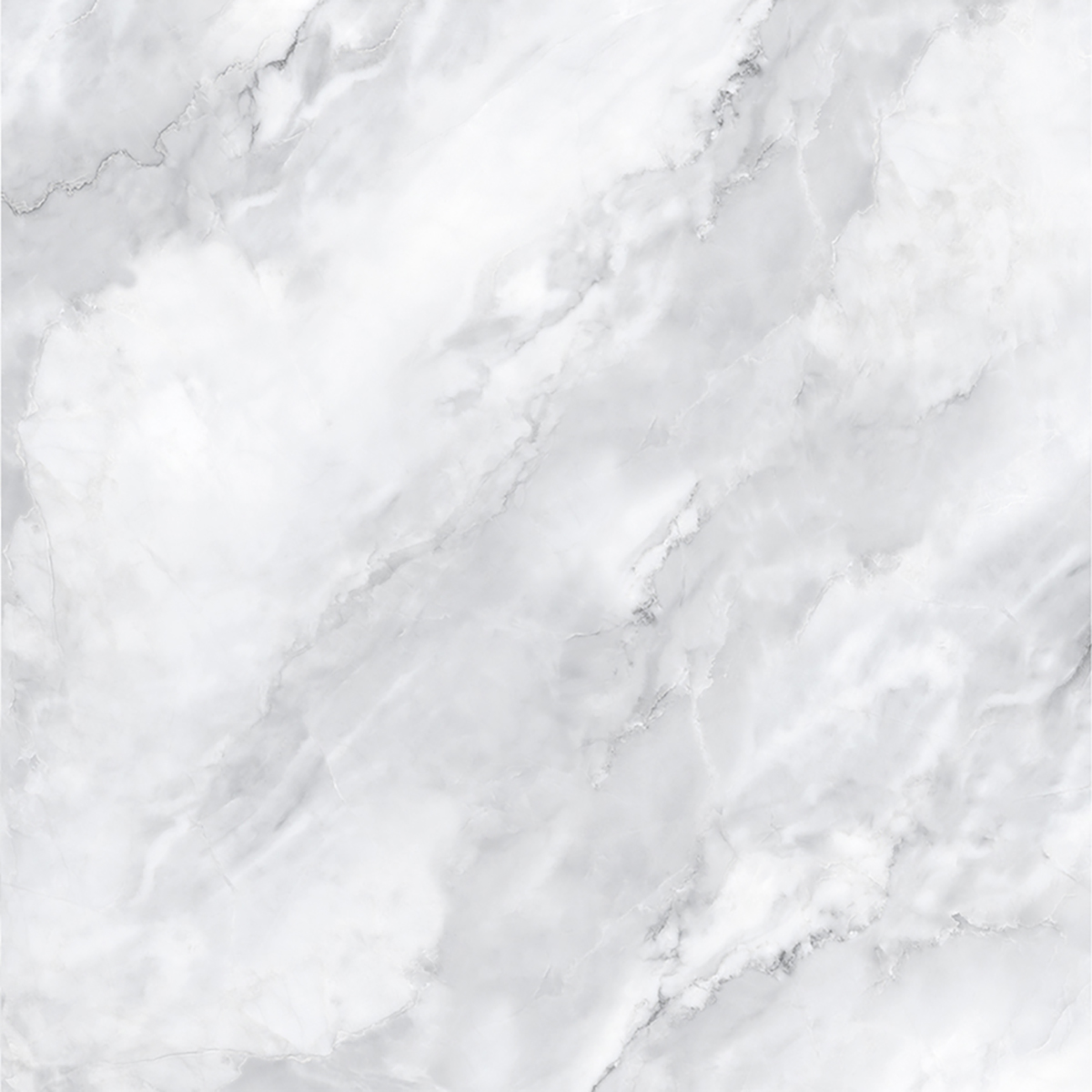 SCARLET BIANCO