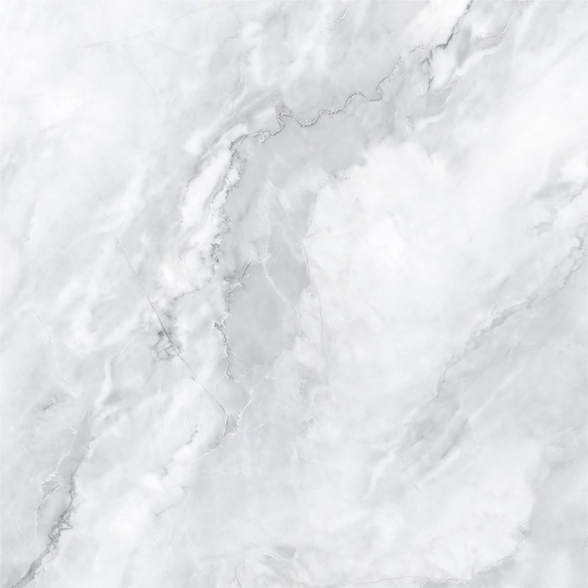SCARLET BIANCO