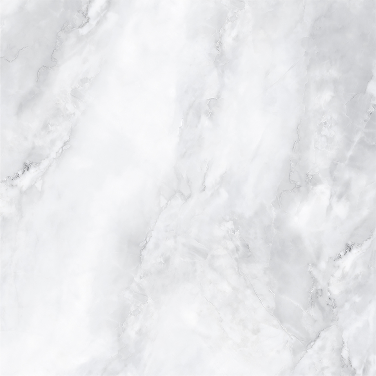 SCARLET BIANCO