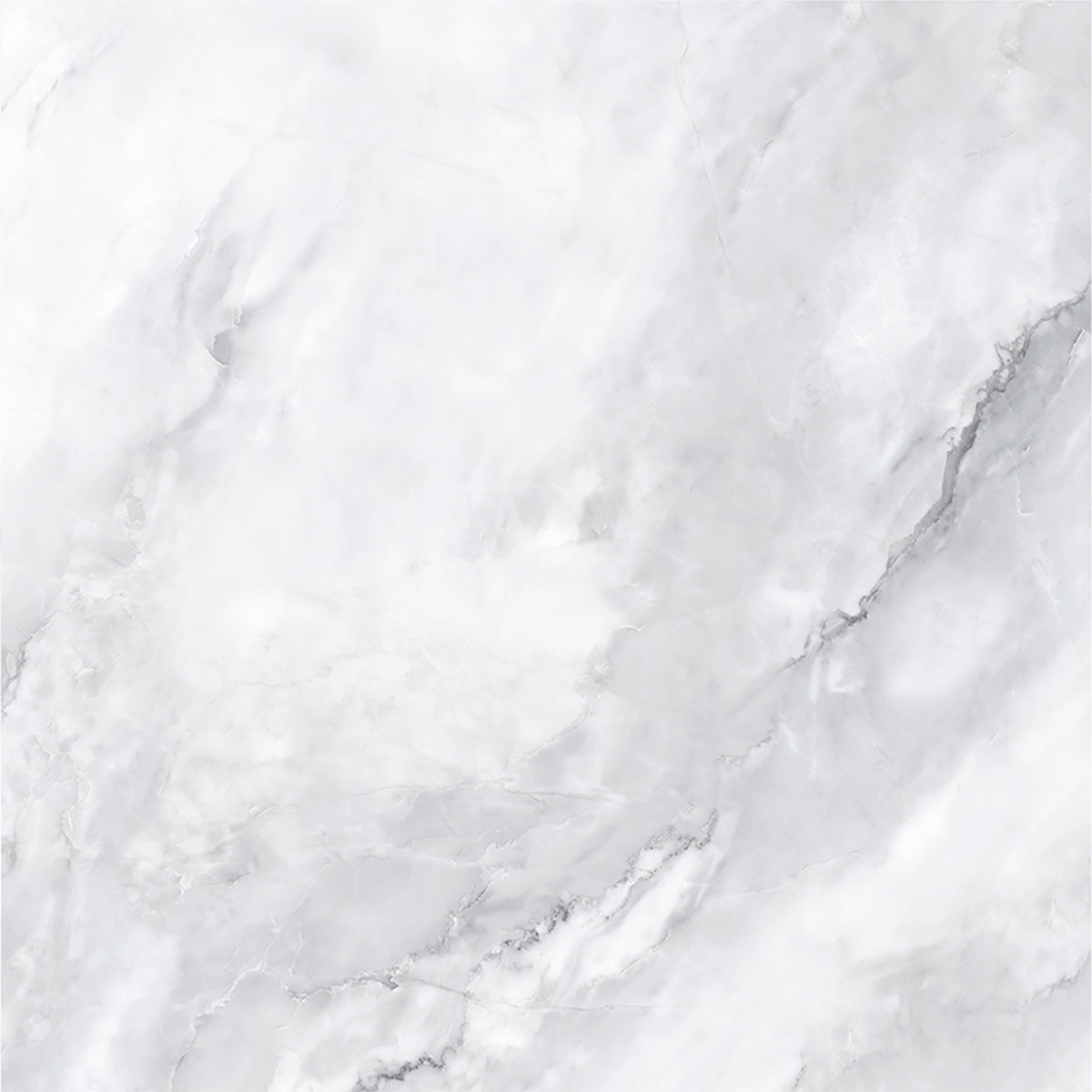 SCARLET BIANCO