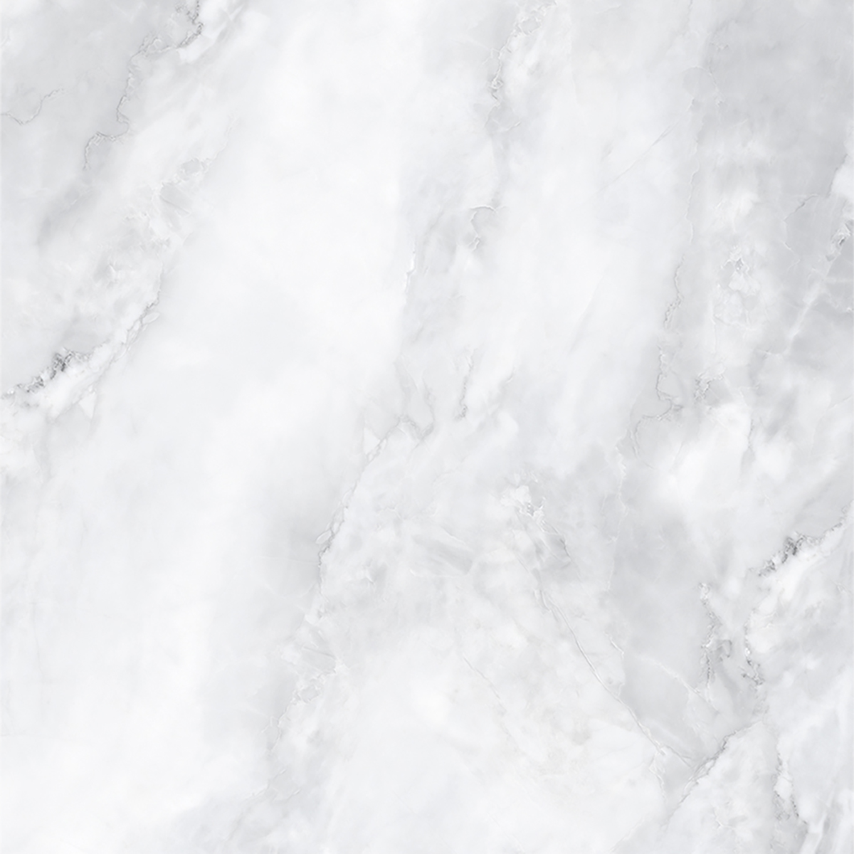 SCARLET BIANCO