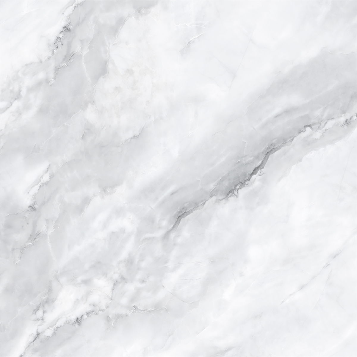 SCARLET BIANCO