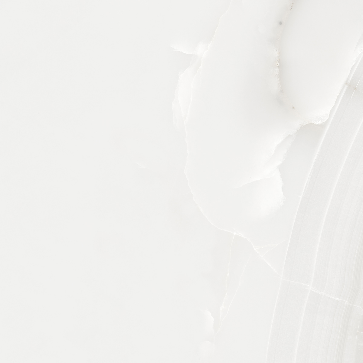 SNOW ONYX