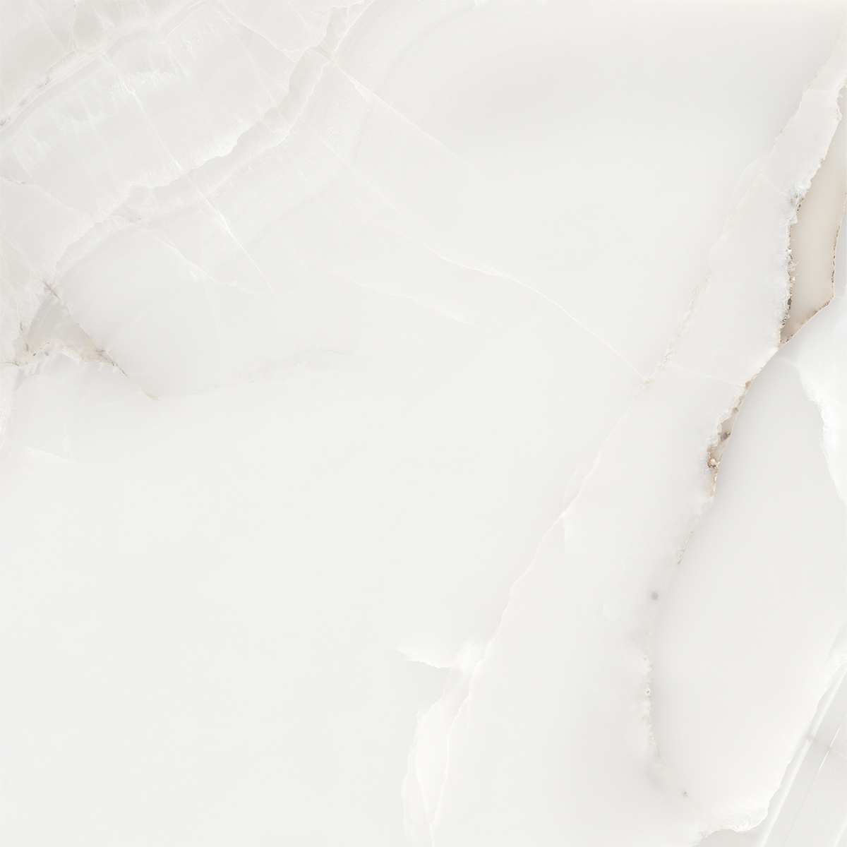 SNOW ONYX