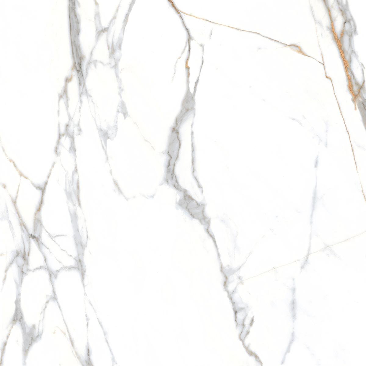 SOUL WHITE