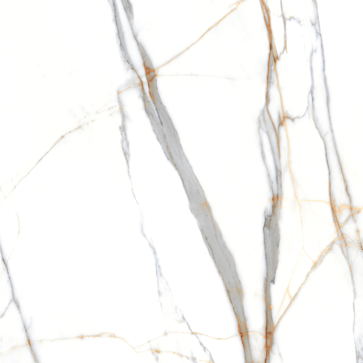 SOUL WHITE