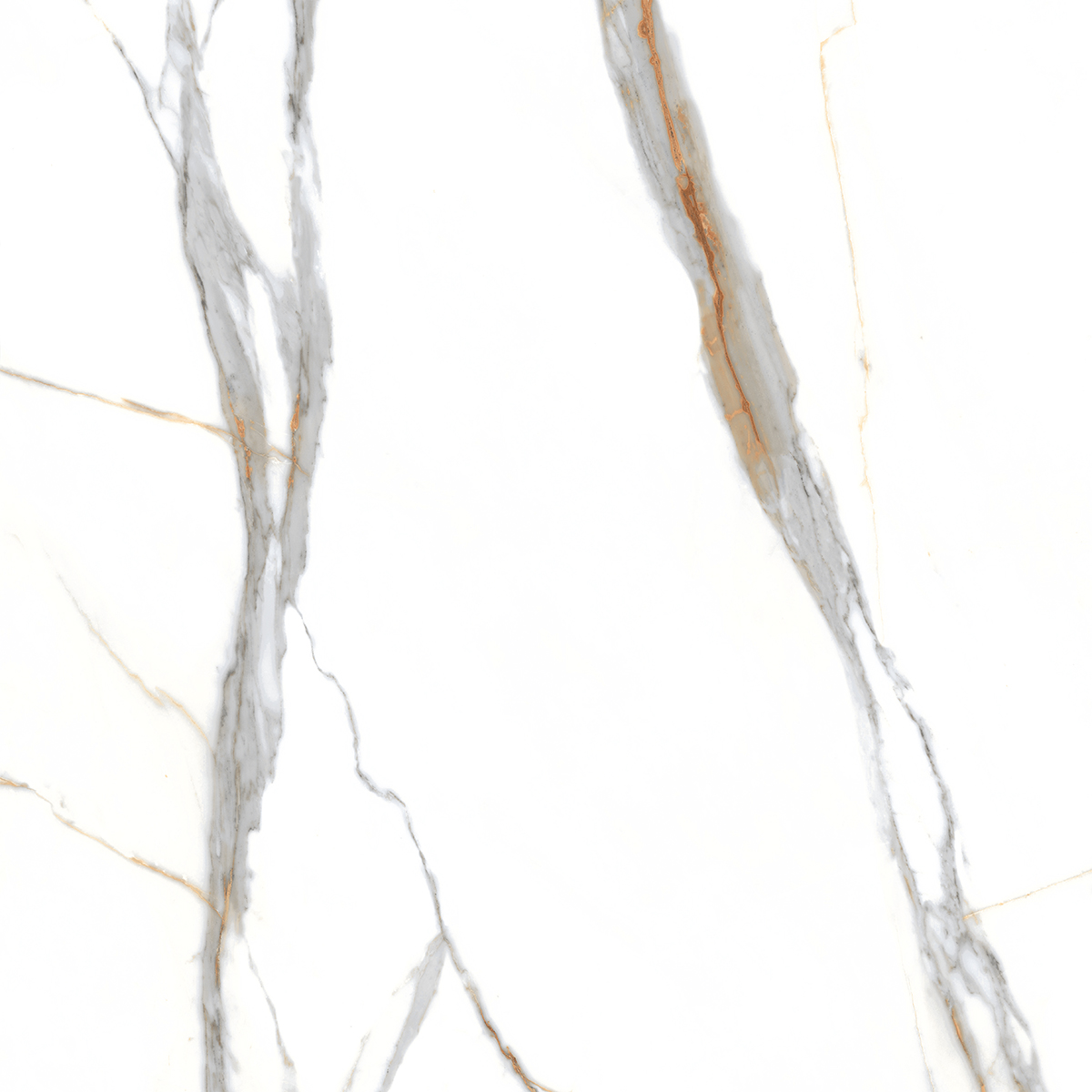 SOUL WHITE