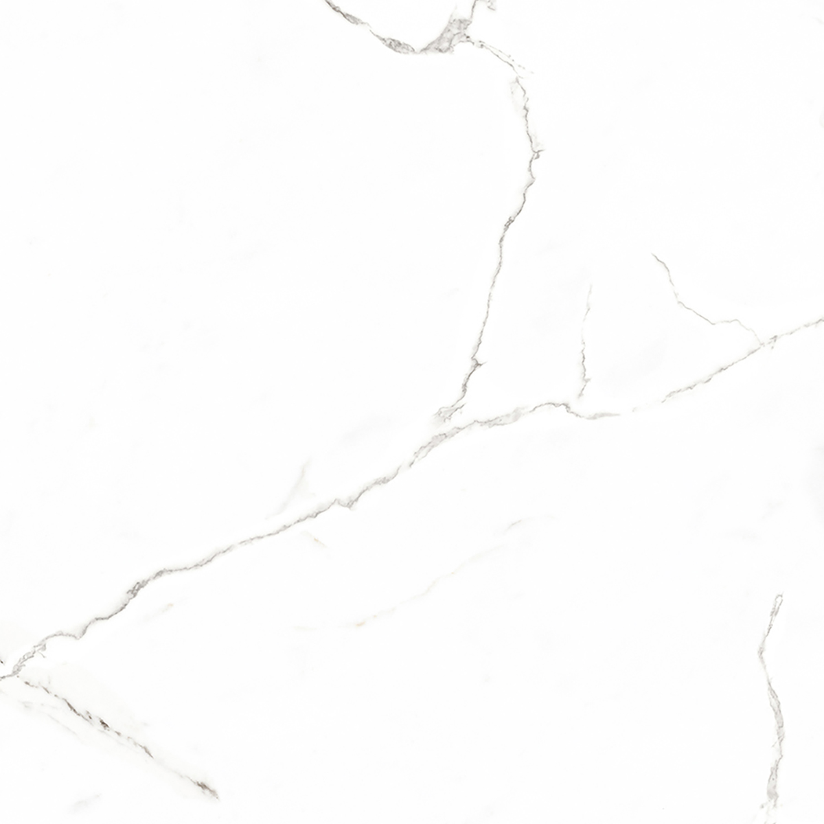 STATUARIO VENATO