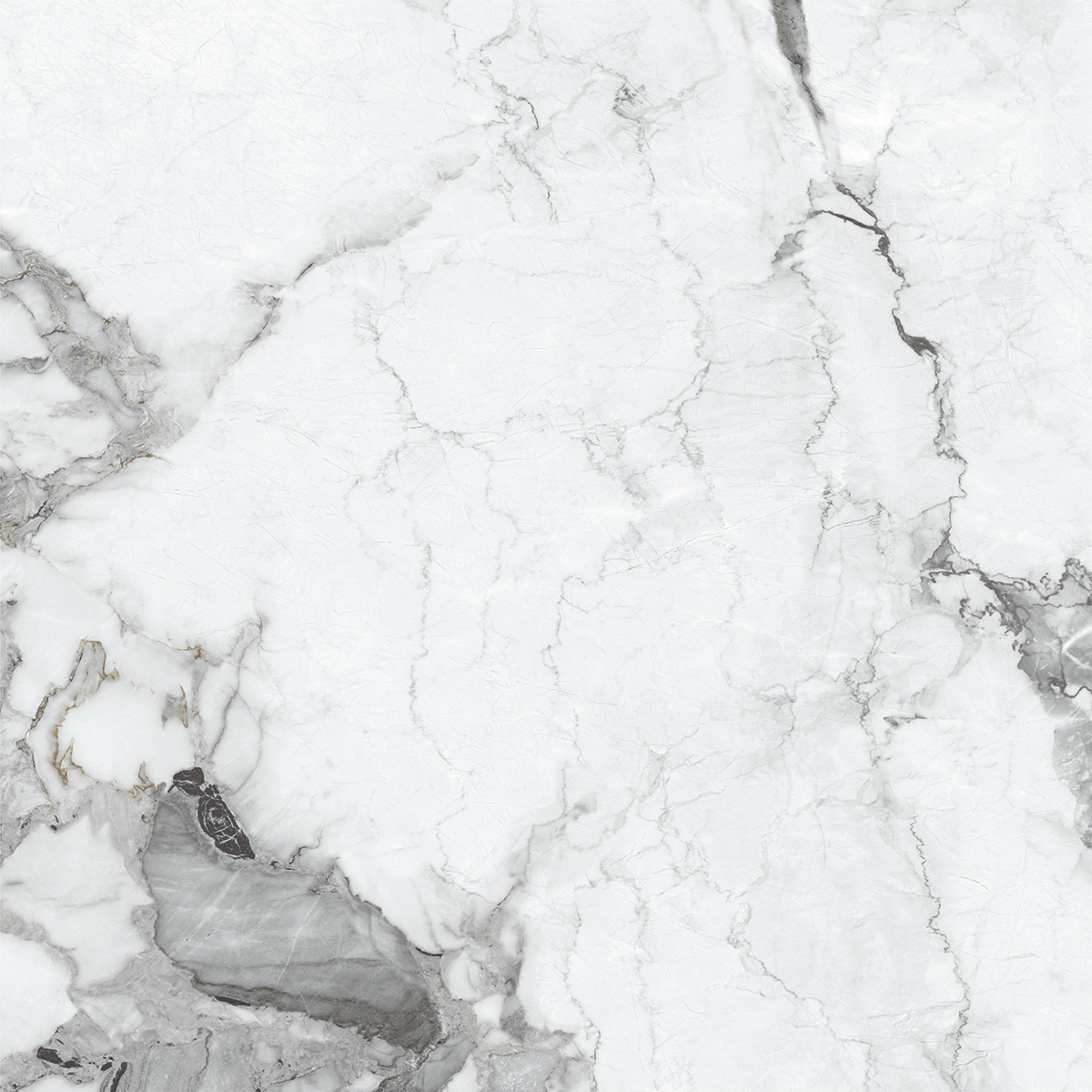 VERSILIA GREY
