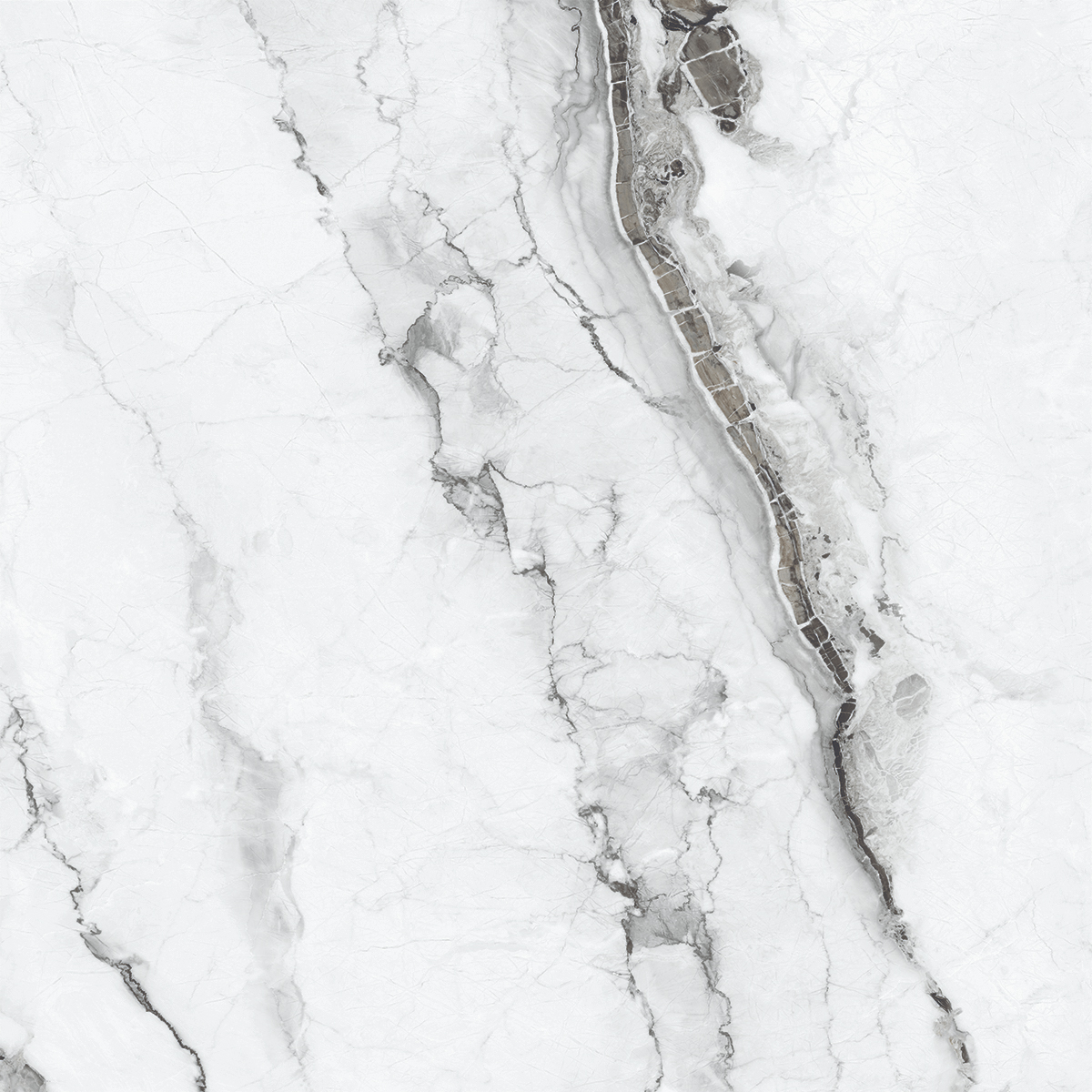 VERSILIA GREY