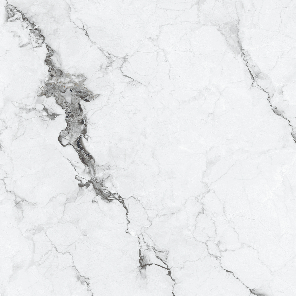VERSILIA GREY