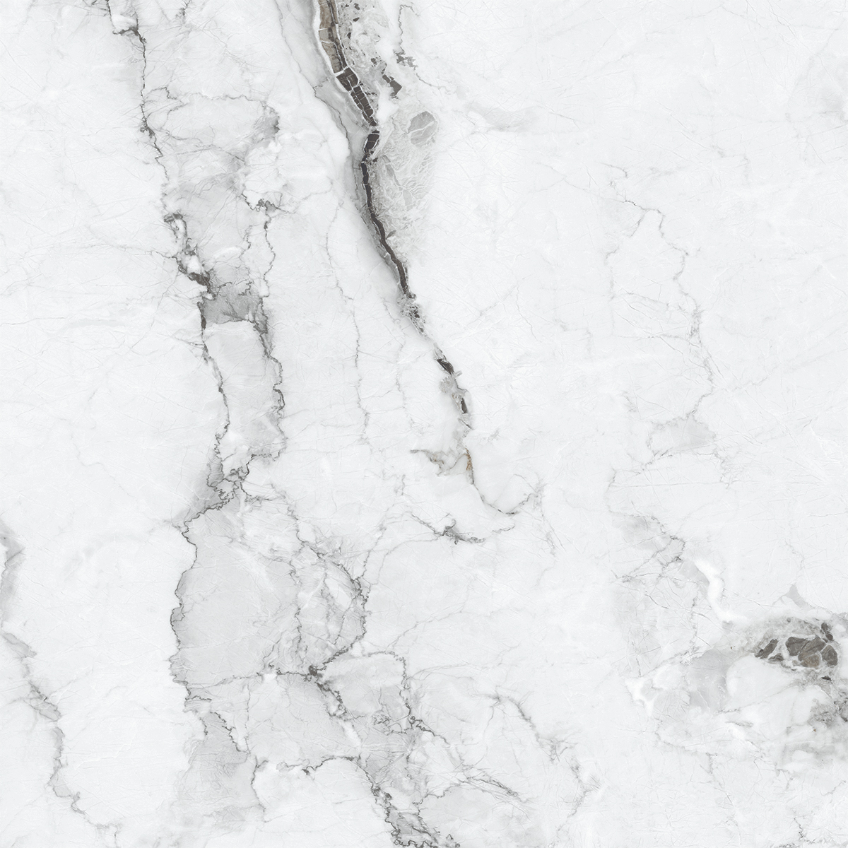 VERSILIA GREY