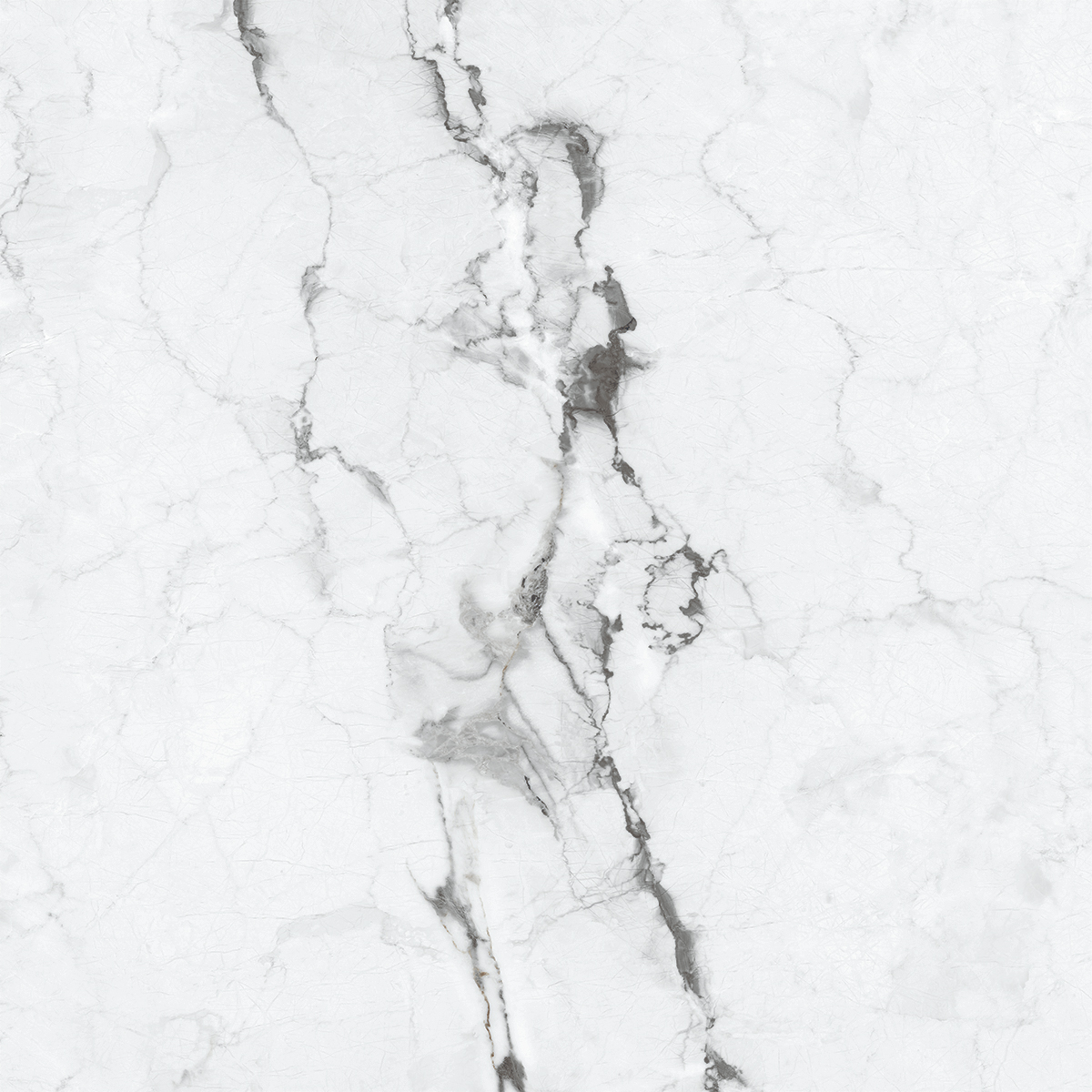 VERSILIA GREY