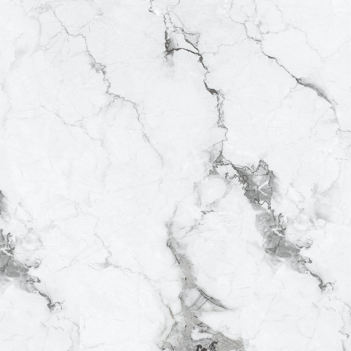 VERSILIA GREY