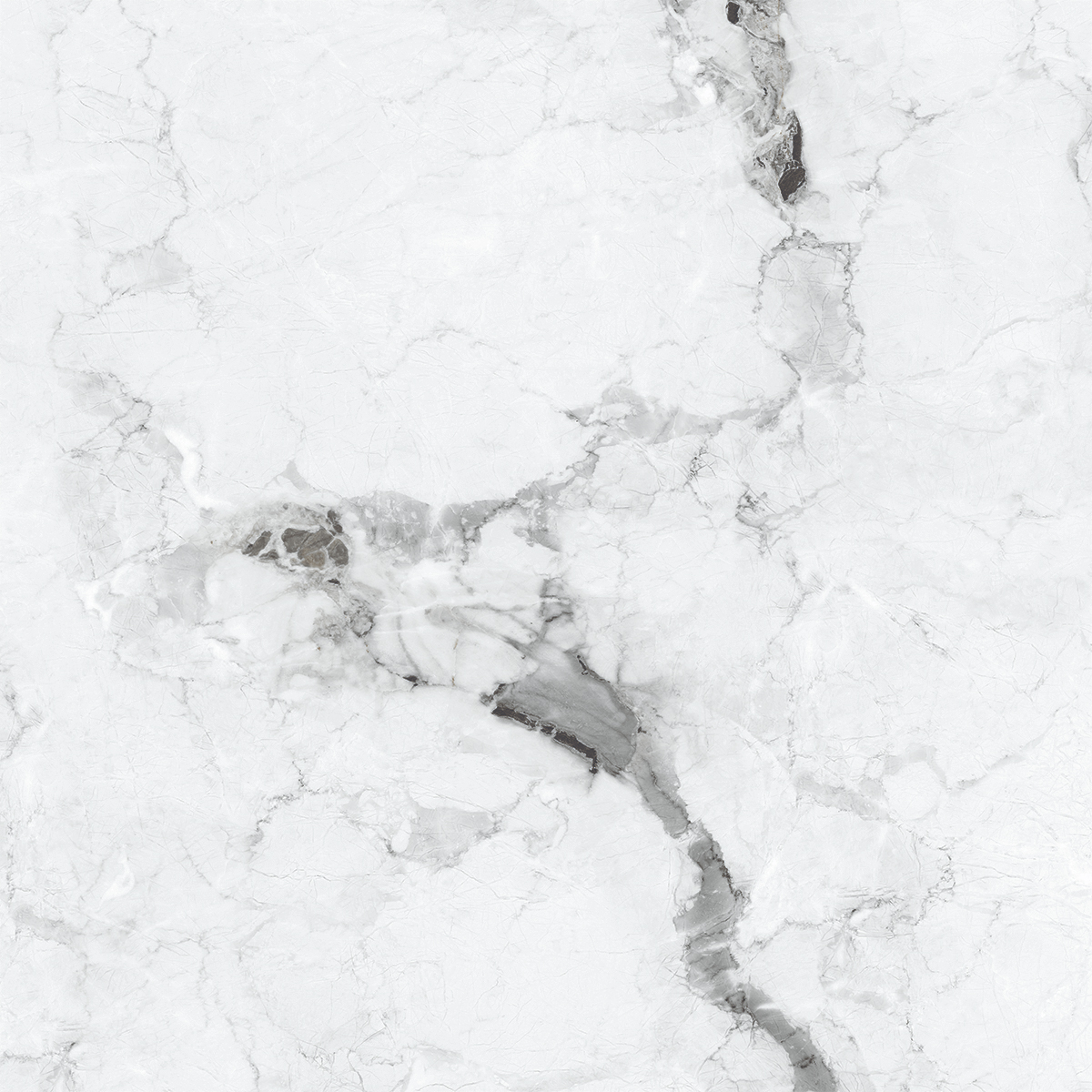 VERSILIA GREY