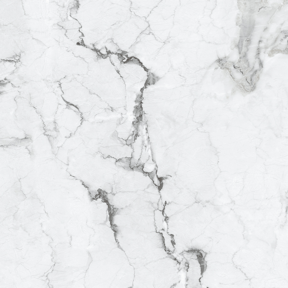 VERSILIA GREY