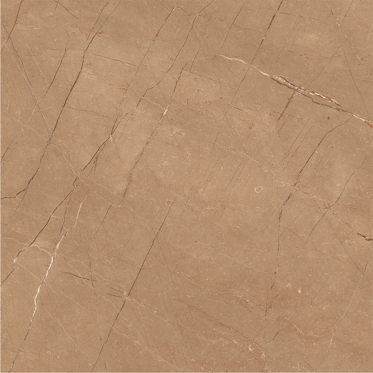 VITRUM BROWN
