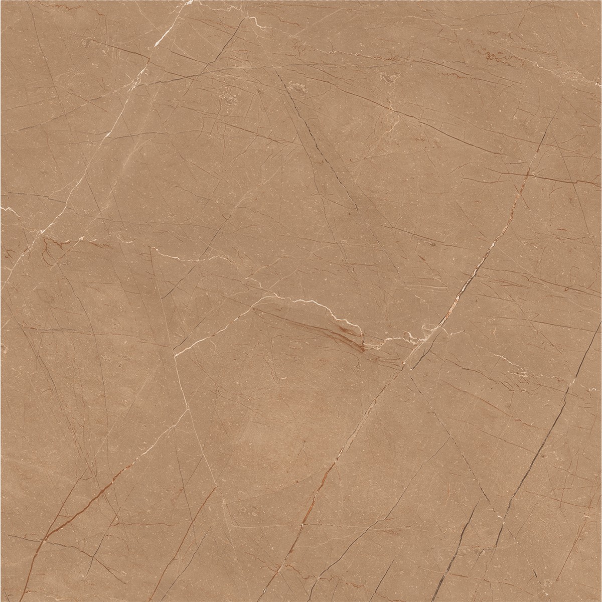 VITRUM BROWN