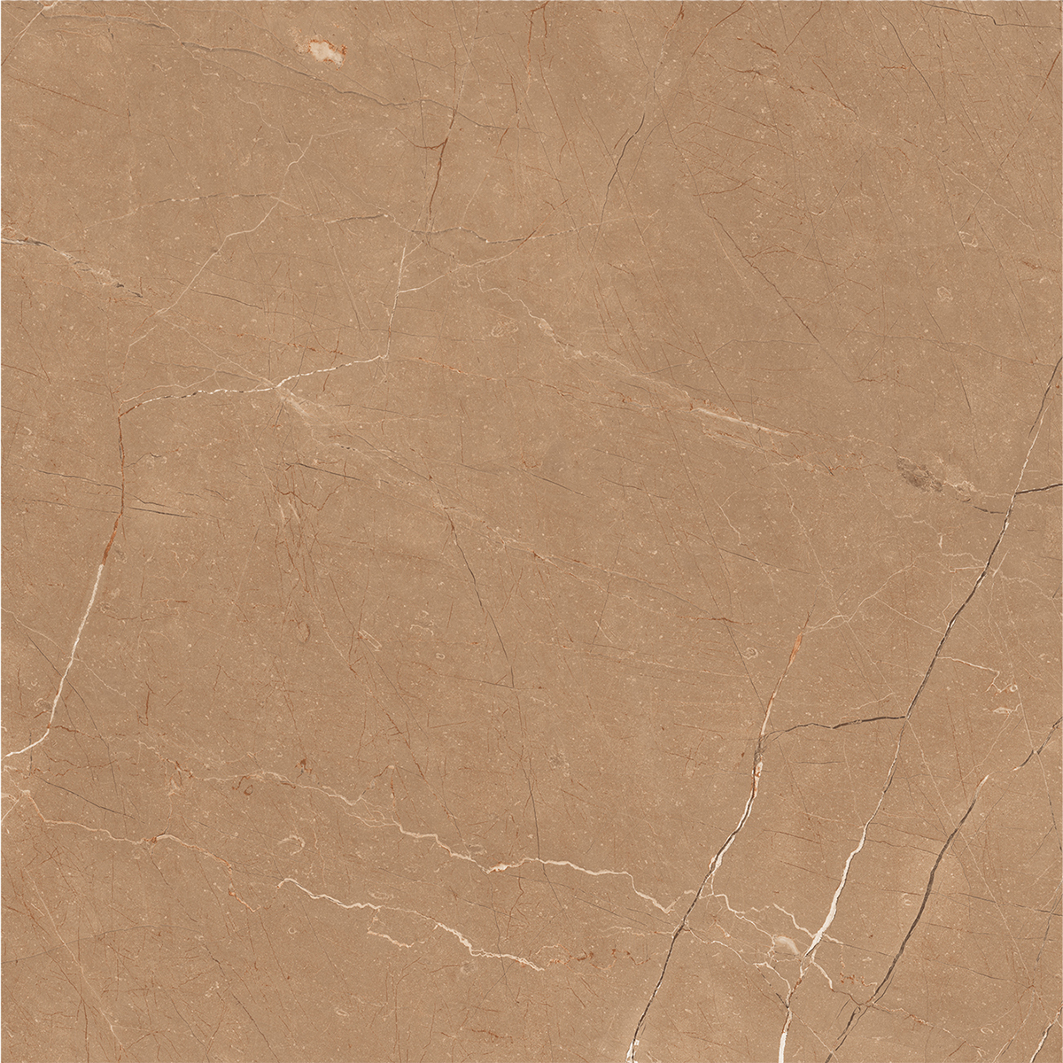 VITRUM BROWN