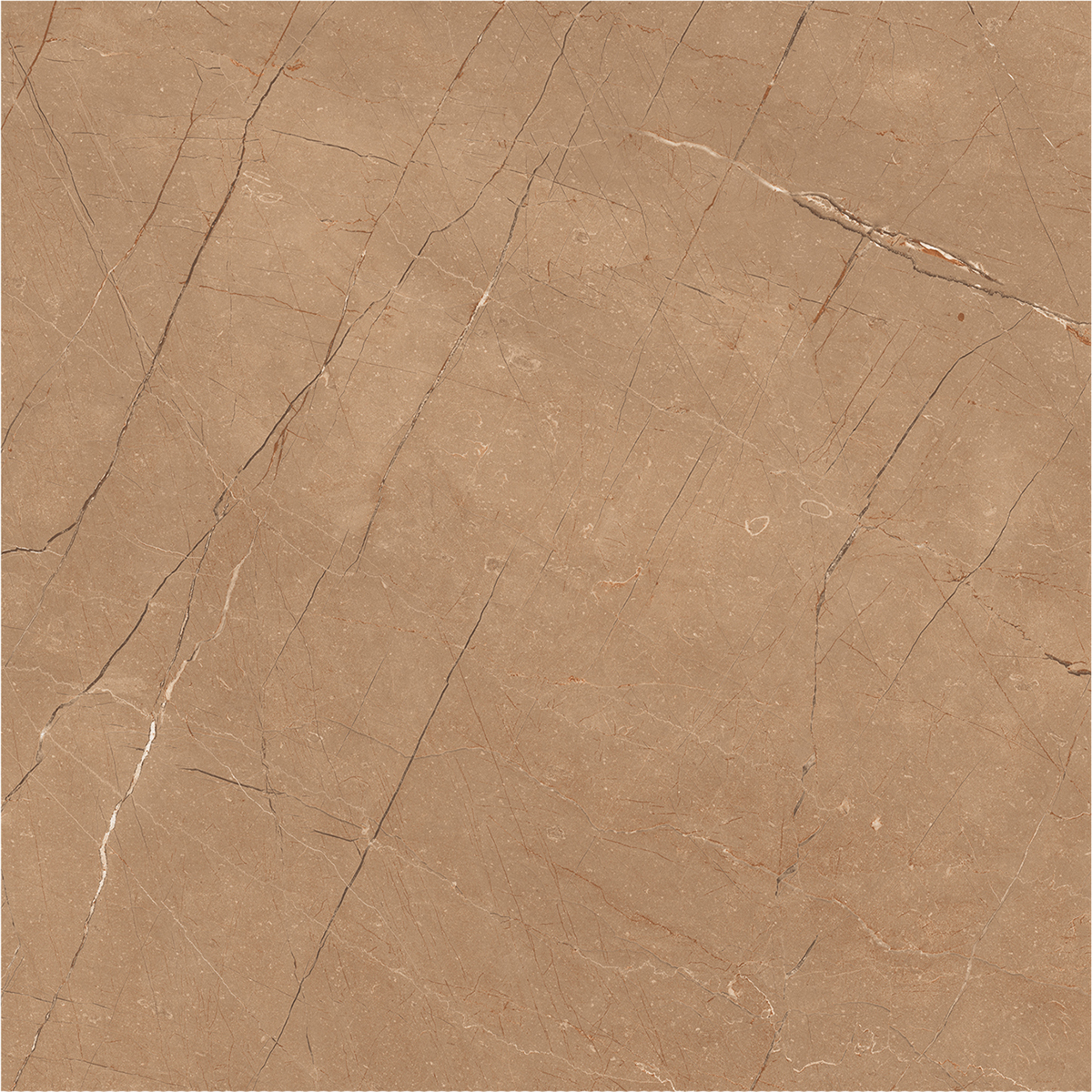 VITRUM BROWN