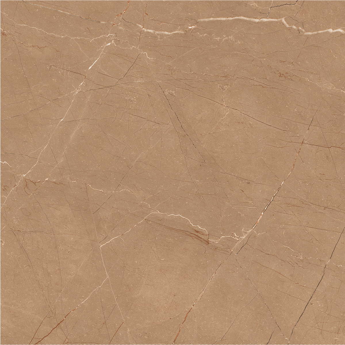 VITRUM BROWN