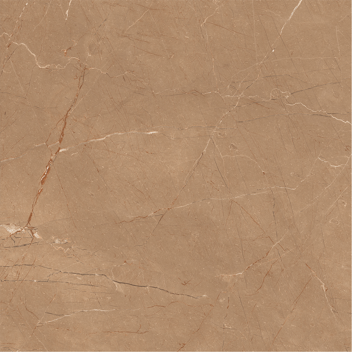 VITRUM BROWN