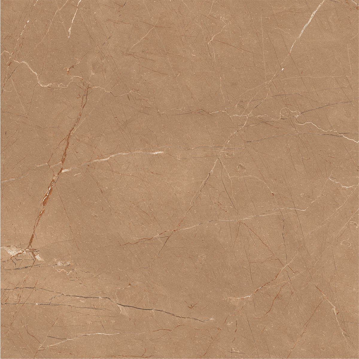 VITRUM BROWN