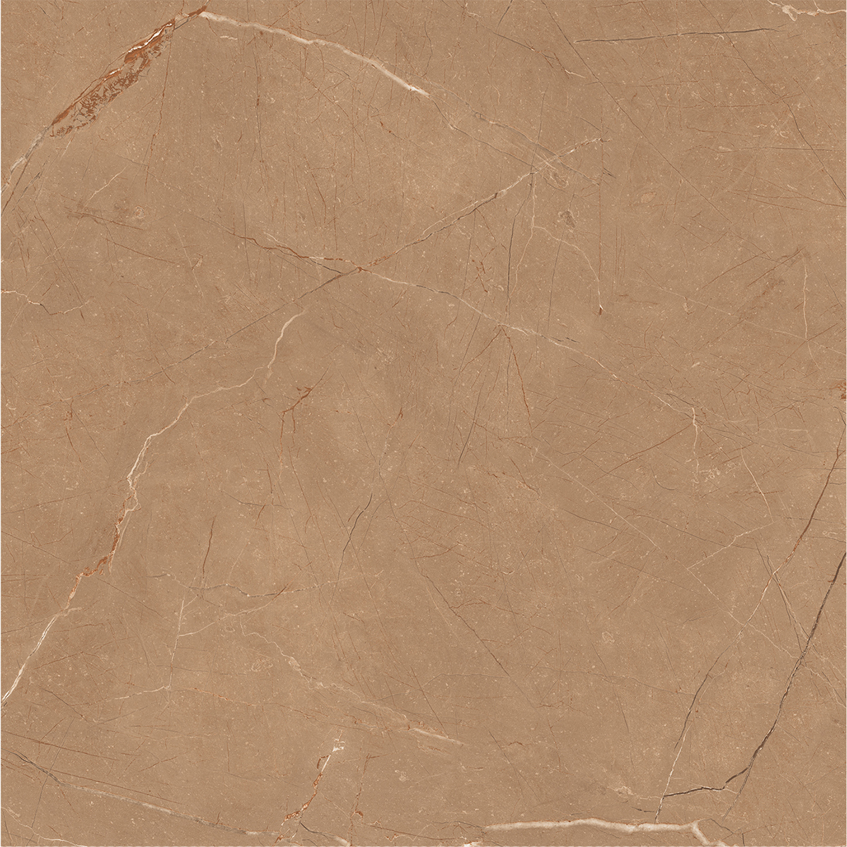 VITRUM BROWN