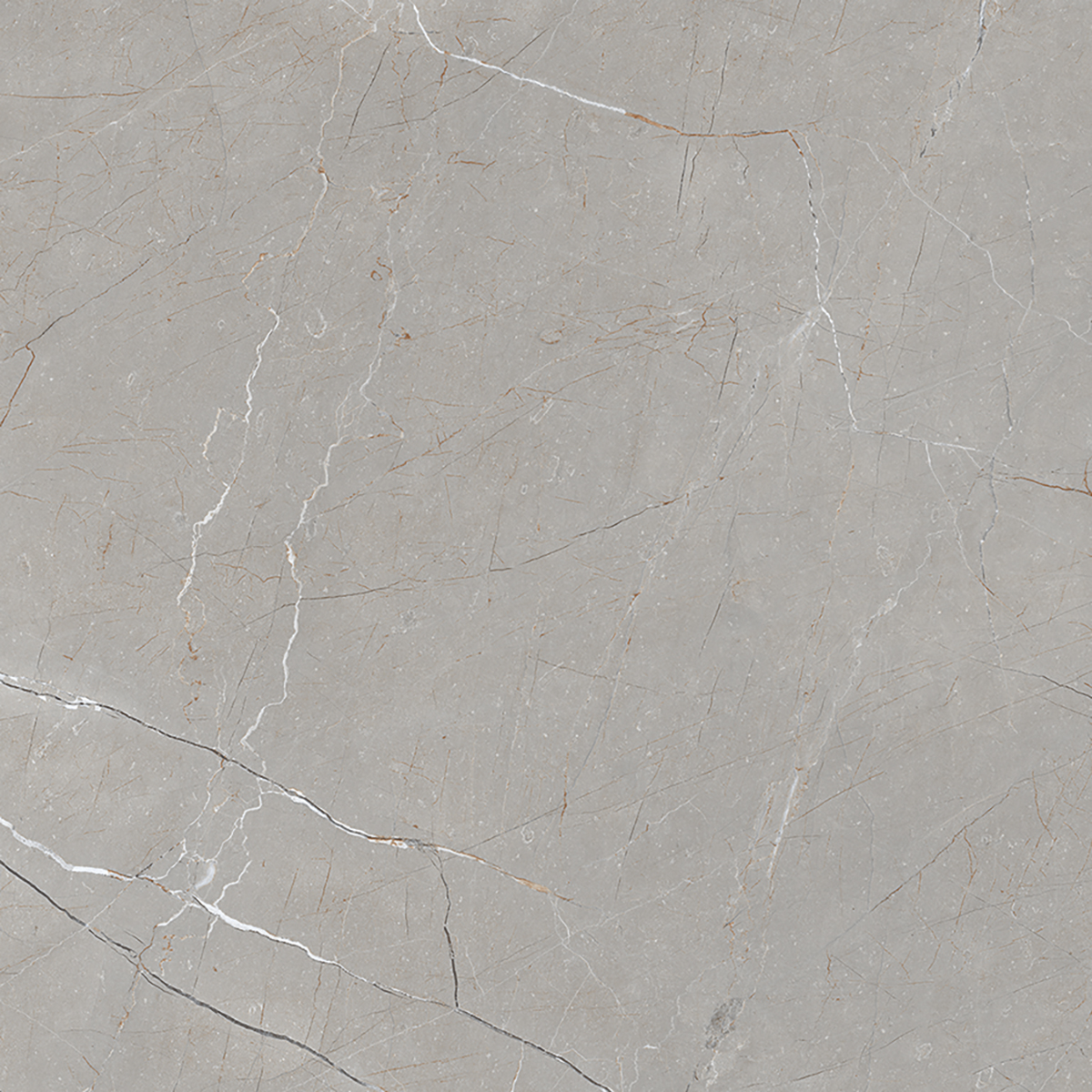 VITRUM GREY