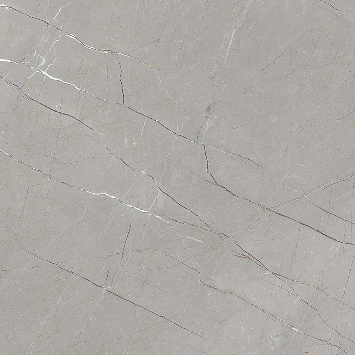 VITRUM GREY