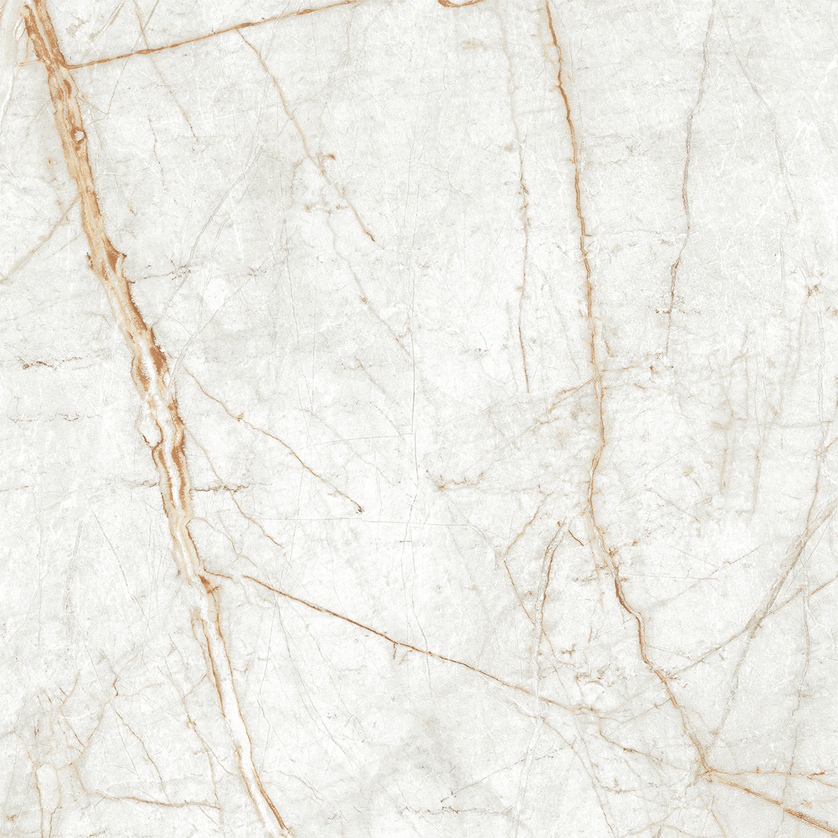 ALGARIA OYSTER